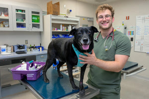 Dr. Andrew Stump