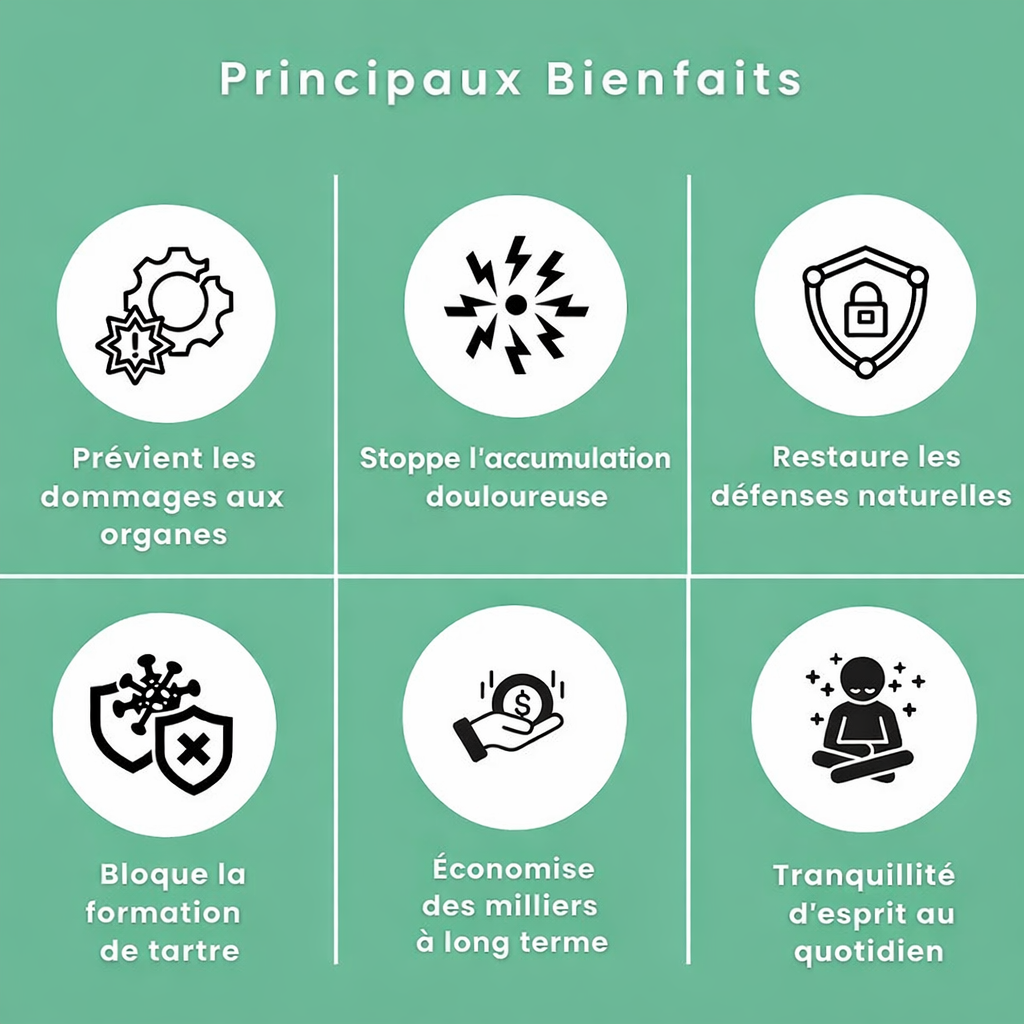 Spray Dentaire Avancé Orvenia