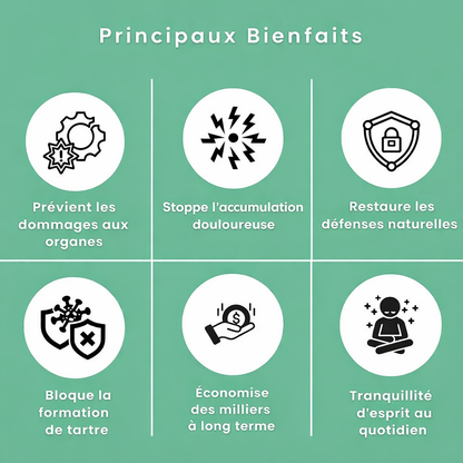 Spray Dentaire Avancé Orvenia