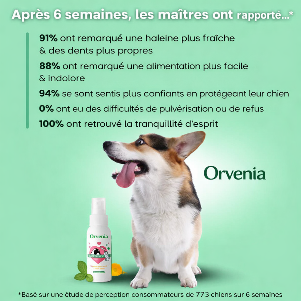 Spray Dentaire Avancé Orvenia