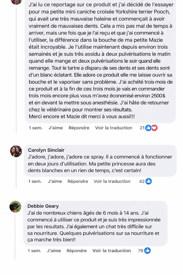 Avis client 2
