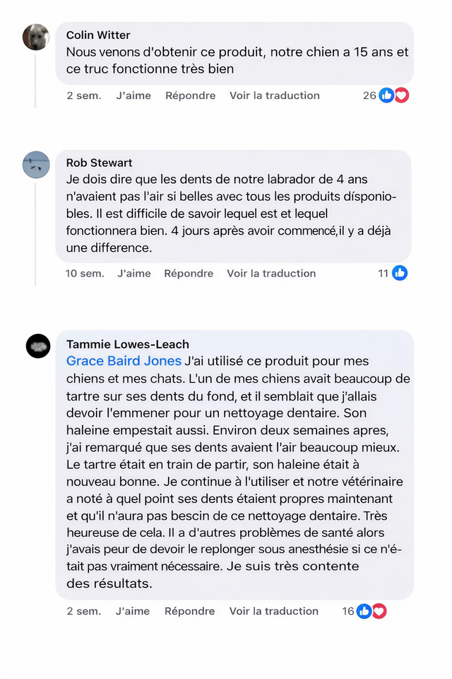 Avis client 3