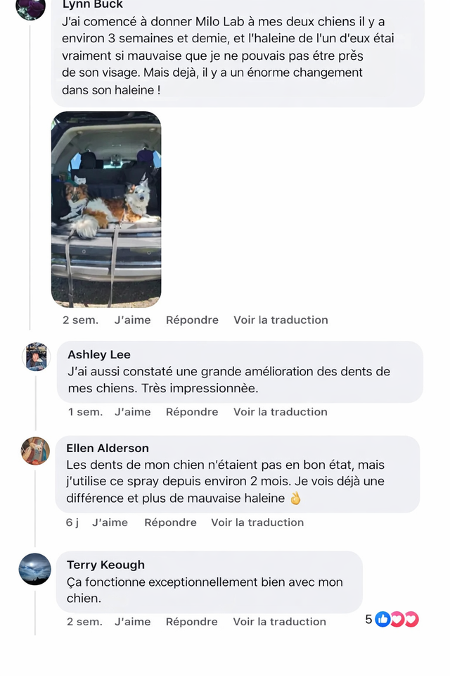 Avis client 1