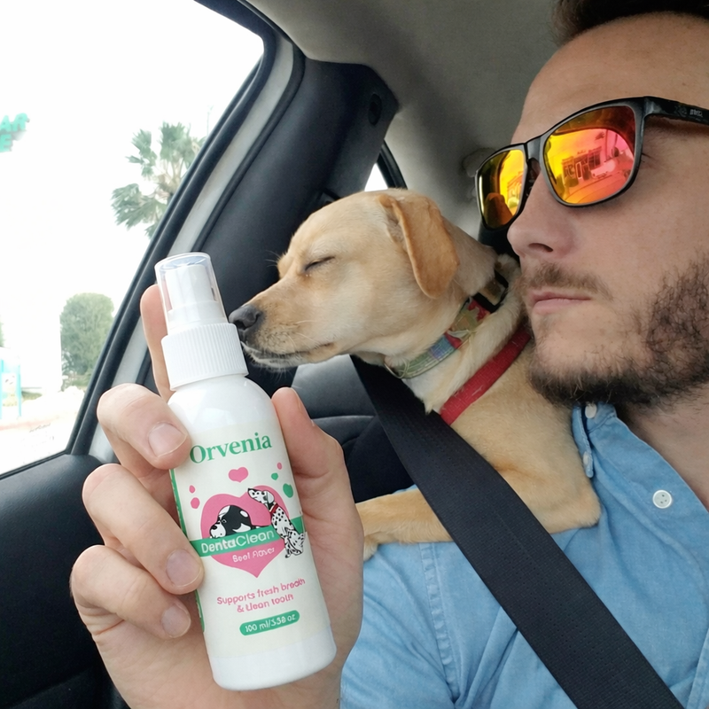 Même mon chien difficile l'adore